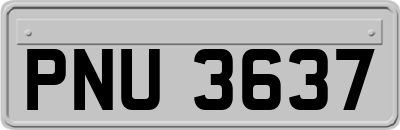 PNU3637