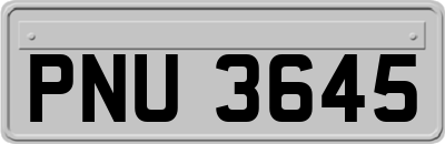 PNU3645