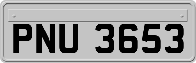 PNU3653