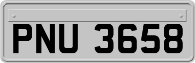 PNU3658