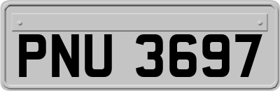 PNU3697