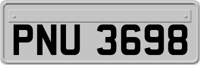 PNU3698