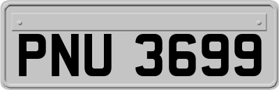 PNU3699