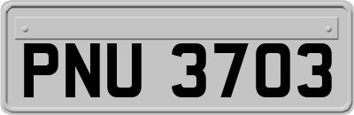 PNU3703