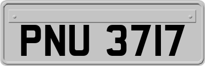 PNU3717