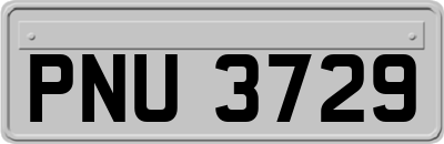 PNU3729
