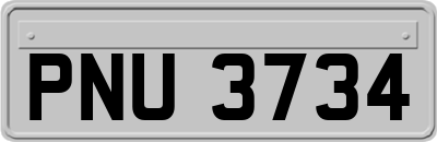 PNU3734