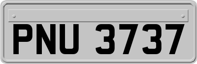 PNU3737