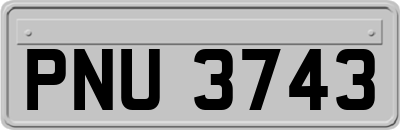 PNU3743