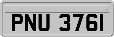 PNU3761