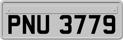 PNU3779