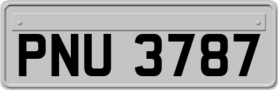 PNU3787