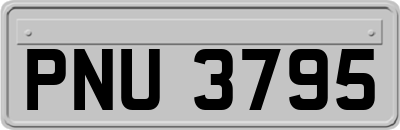 PNU3795