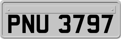 PNU3797