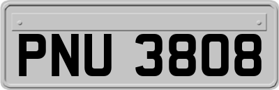 PNU3808