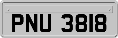 PNU3818