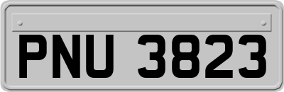 PNU3823