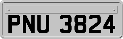 PNU3824