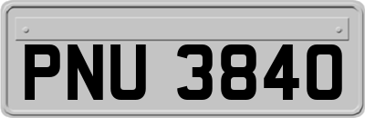 PNU3840