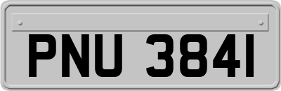 PNU3841