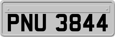 PNU3844