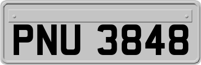 PNU3848