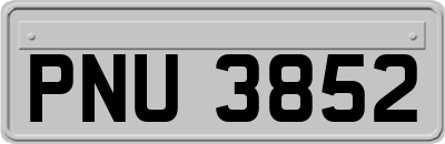 PNU3852