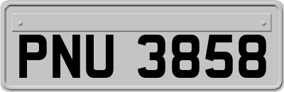 PNU3858