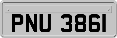 PNU3861