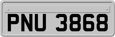 PNU3868