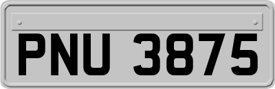 PNU3875