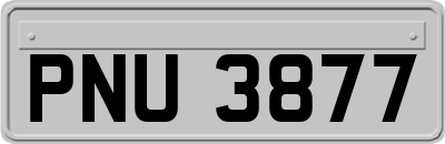 PNU3877