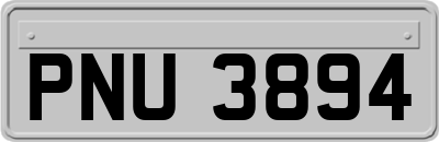 PNU3894