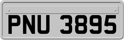 PNU3895