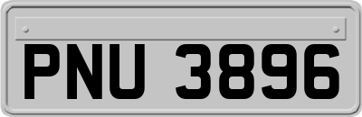PNU3896