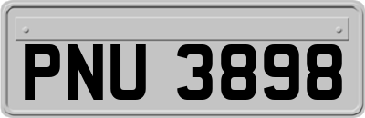 PNU3898