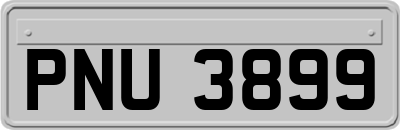 PNU3899
