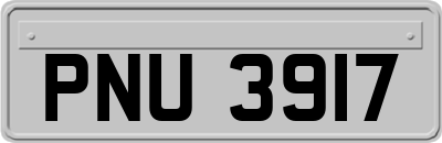 PNU3917