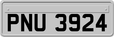 PNU3924
