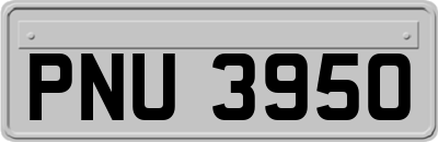 PNU3950