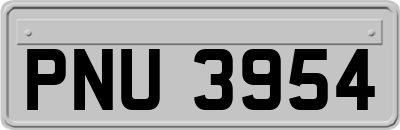 PNU3954