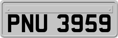 PNU3959