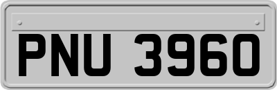 PNU3960