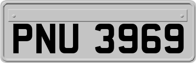 PNU3969