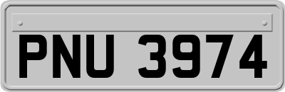 PNU3974