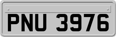 PNU3976