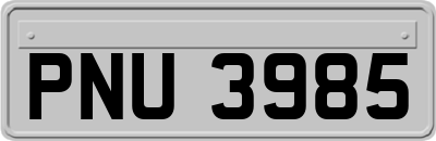 PNU3985