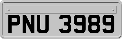 PNU3989