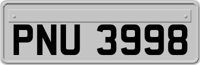 PNU3998