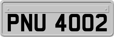 PNU4002